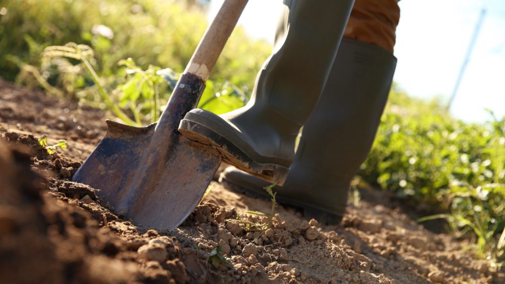 鏟子超人爆「返鄉痠痛潮」？ 物理治療師示警：合併7症狀當心橫紋肌溶解