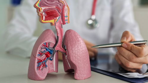 過半肺阻塞患者伴隨「心血管共病」! 醫界呼籲:關注6大風險,別再讓肺「傷心」