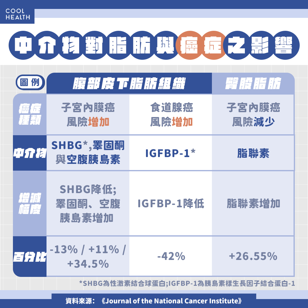 脂肪分布為何能預測癌症? 中介物扮演關鍵作用