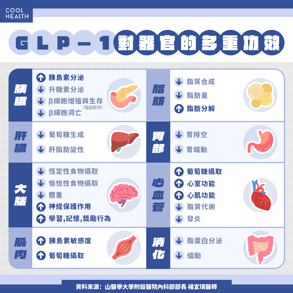 8成糖尿病合併肥胖問題  醫示警「死亡風險提升逾2倍」 