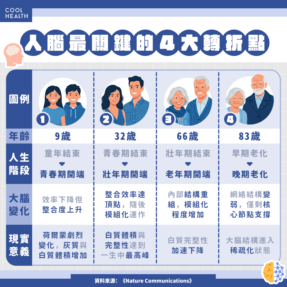 從成家立業到退休養老  大腦結構變化的「人生縮影」