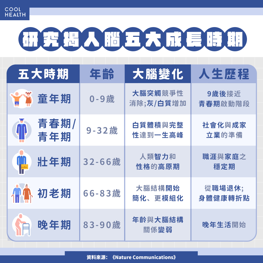 32歲是大腦運作巔峰期？ 研究揭4大關鍵轉折點