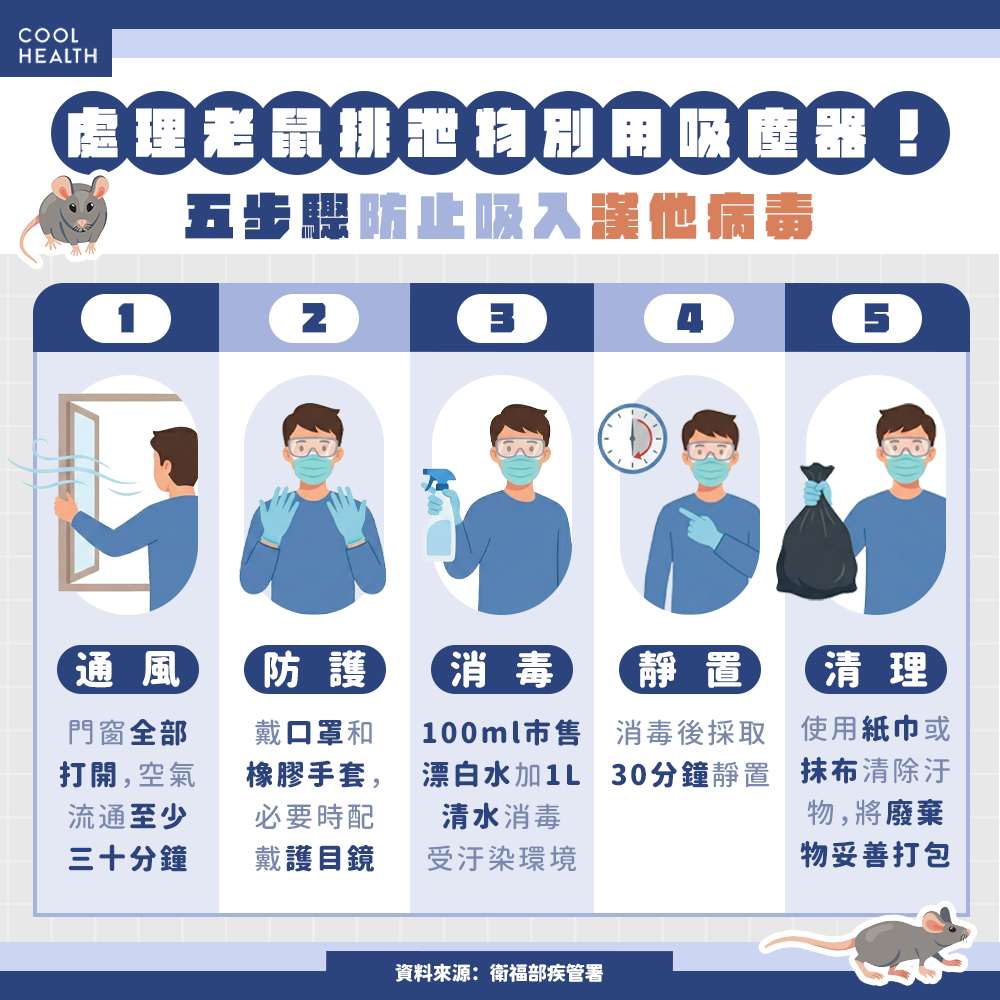處理老鼠排泄物別用吸塵器！ 五步驟防止吸入漢他病毒