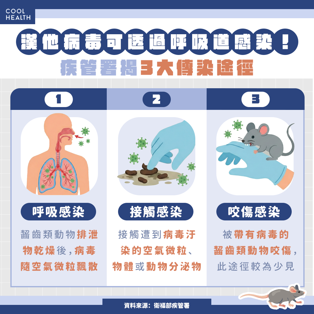 漢他病毒是什麼？ 吸入「鼠尿微粒」就可能中鏢