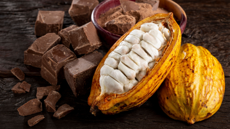 吃黑巧克力減少「腦霧」症狀？ 日研究實測：決策速度明顯變快，1天然物質是關鍵