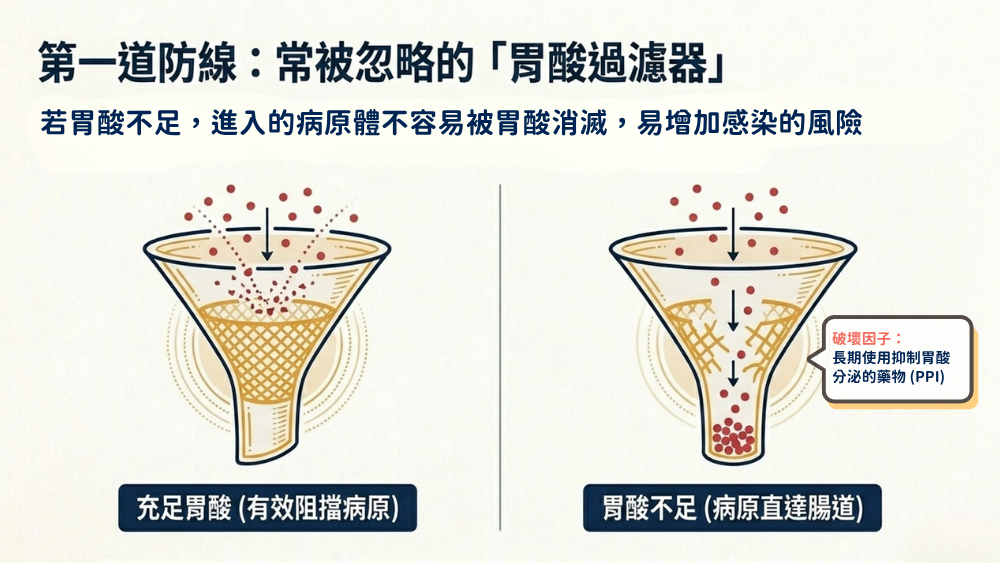 接連食物中毒事件敲警鐘 醫師：追查食安之外，更要重視腸道與免疫防線