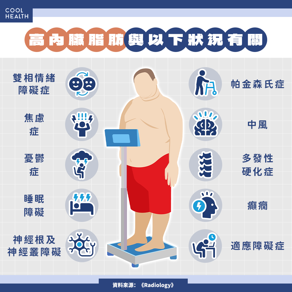 脂肪長錯位置更傷大腦? 專家:至少引起10種負面影響