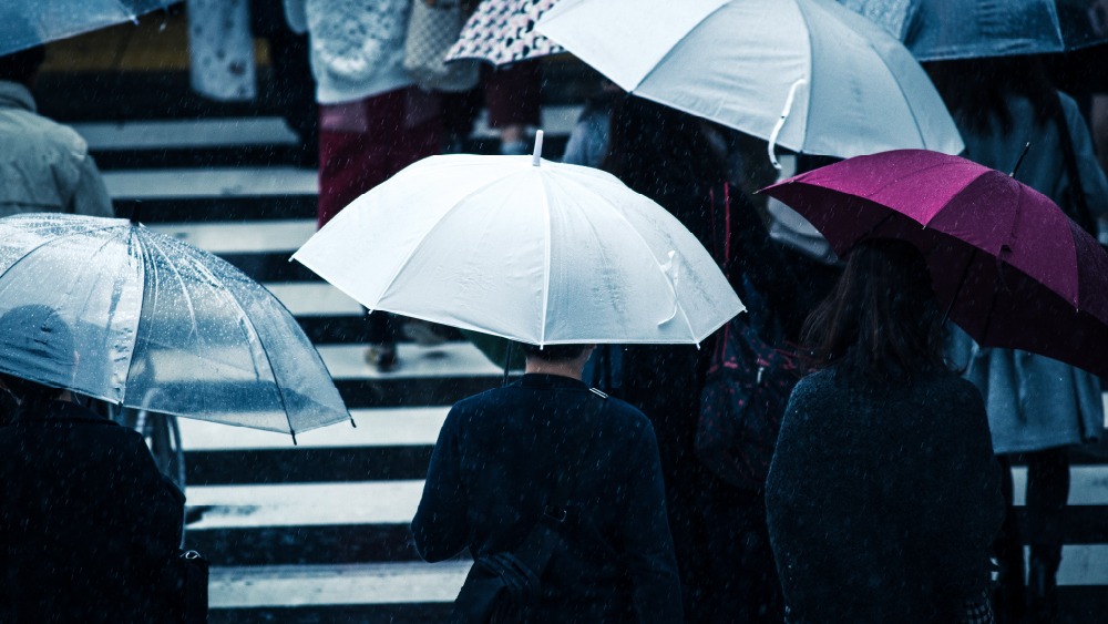 陰雨天總提不起勁？從香氣與生活習慣找回放鬆節奏