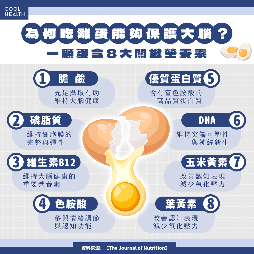 為何吃蛋能保護大腦？ 專家曝 5 大關鍵營養素