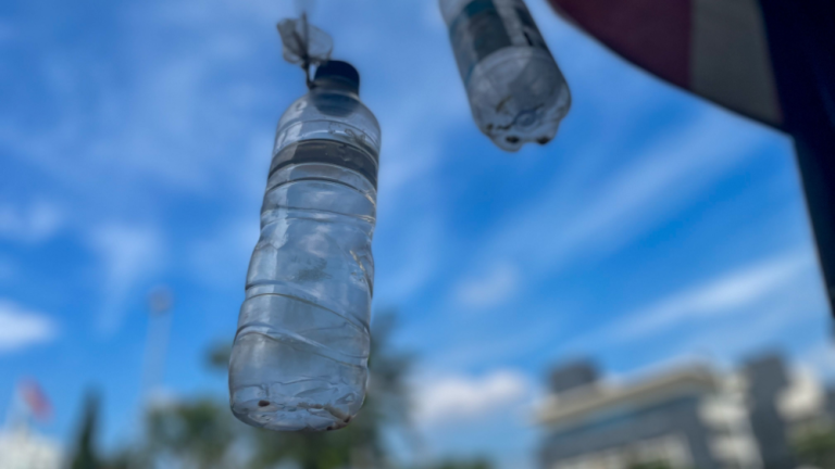 自製寶特瓶裝水驅蟲，竟可能釀出火災？ 疾管署教正確做法：1步驟最關鍵