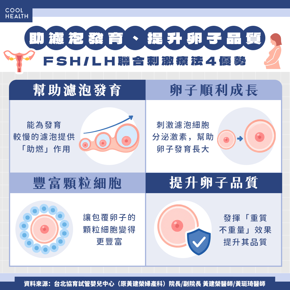 FSH與LH聯合刺激提升卵子品質資訊圖
