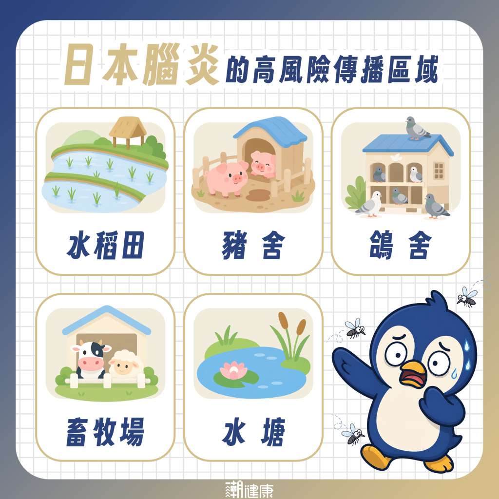 日本腦炎不會人傳人? 蚊蟲叮咬才是傳播主因