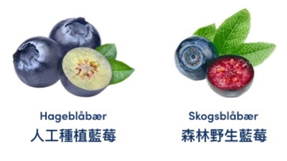藍莓顏色愈深花青素就愈多嗎？研究揭開品種、冷凍與農藥殘留三大迷思