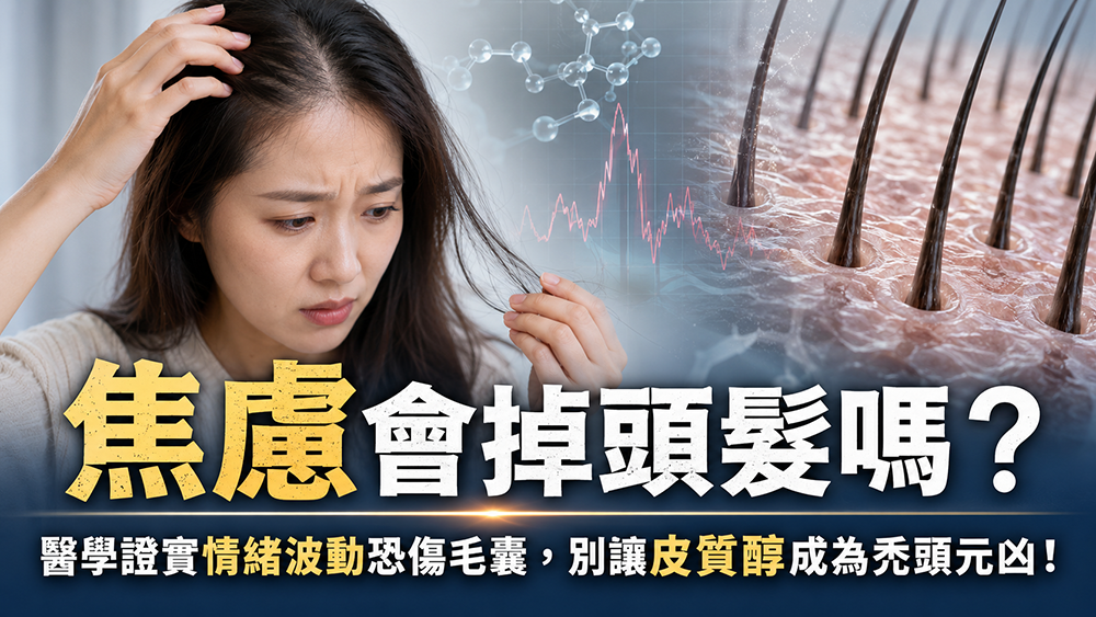 焦慮會掉頭髮嗎？醫師解析壓力、皮質醇與毛囊生長週期的關聯
