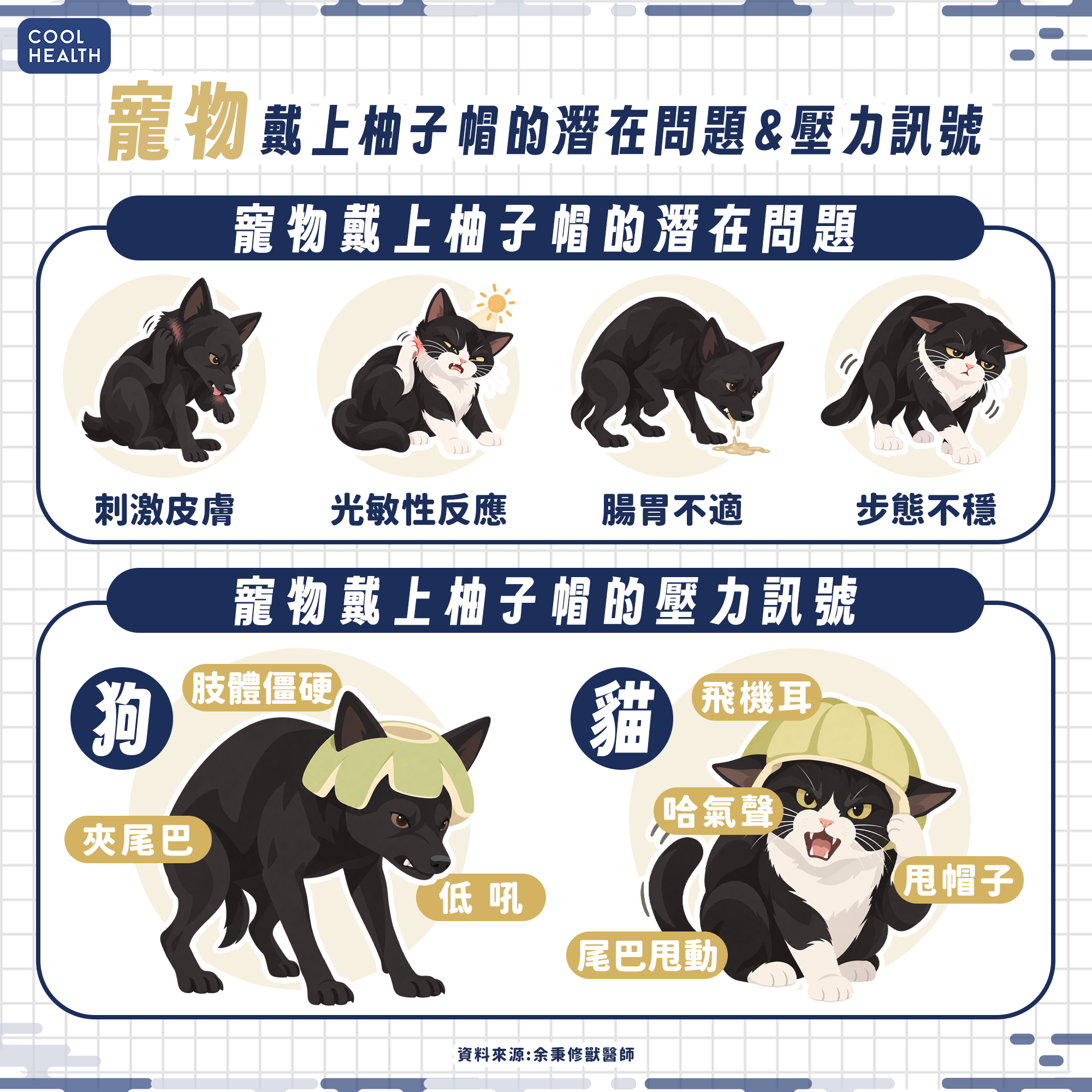 別讓毛孩戴「柚子帽」拍照！ 獸醫師曝後果：寵物恐過敏發炎、有中毒危險 內文圖片 1