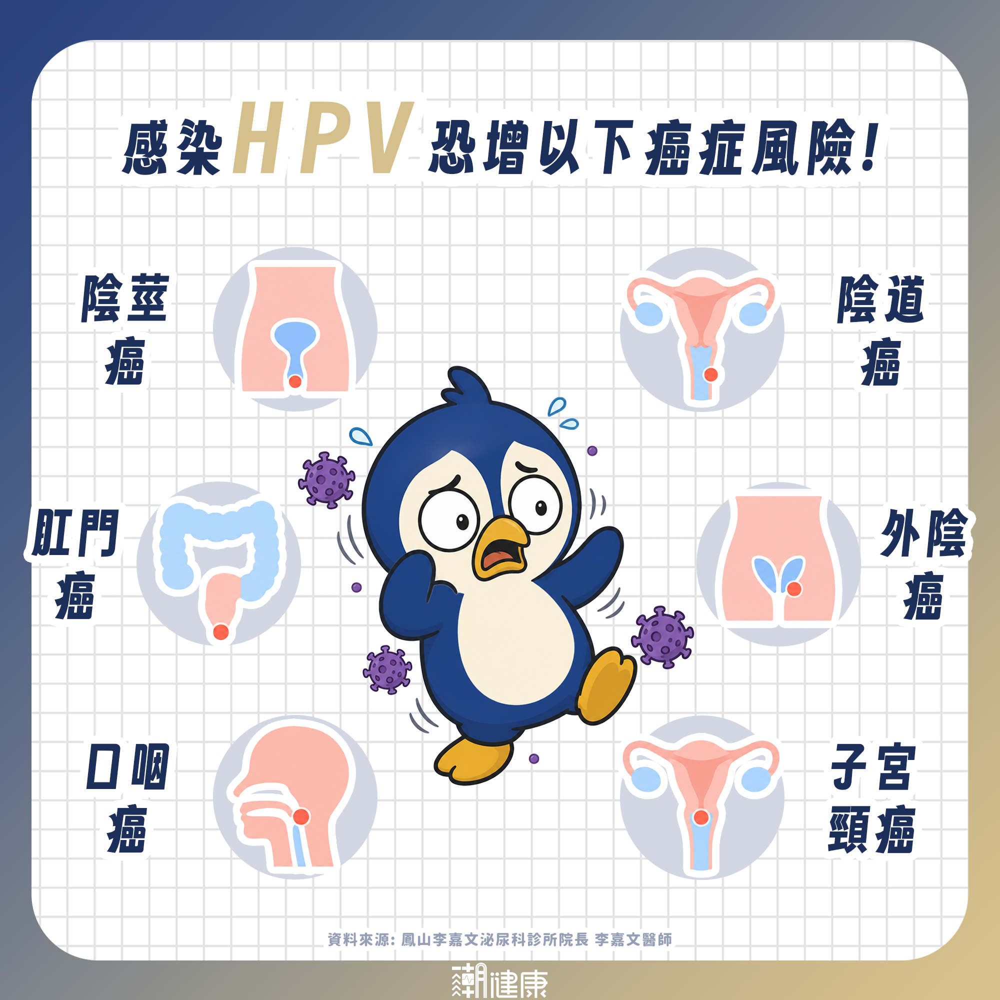 愛玩「奶油泡芙」當心獲性病全餐！ 泌尿科醫示警：有吃PrEP也可能得菜花 內文圖片 2
