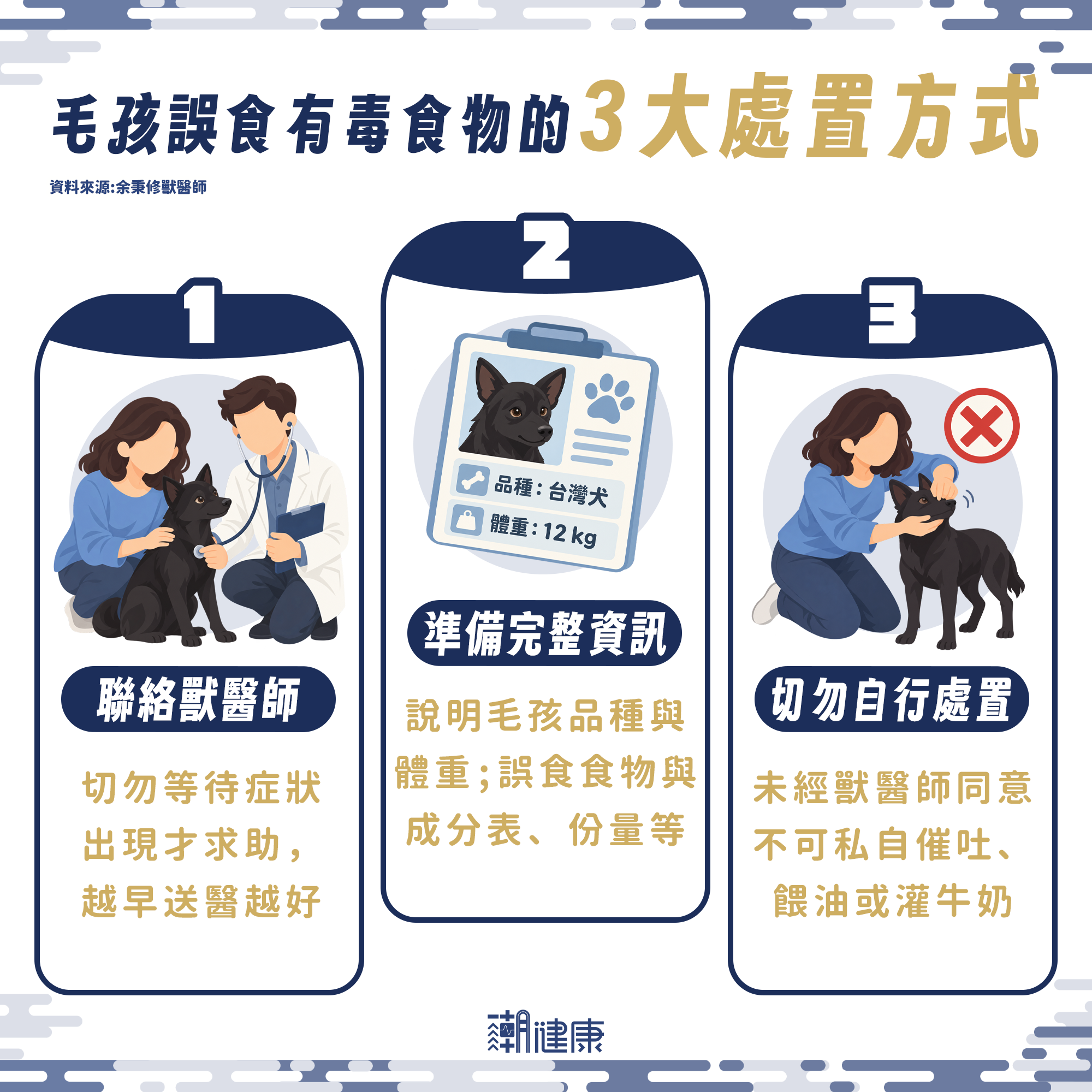 別讓毛孩戴「柚子帽」拍照！ 獸醫師曝後果：寵物恐過敏發炎、有中毒危險 內文圖片 3