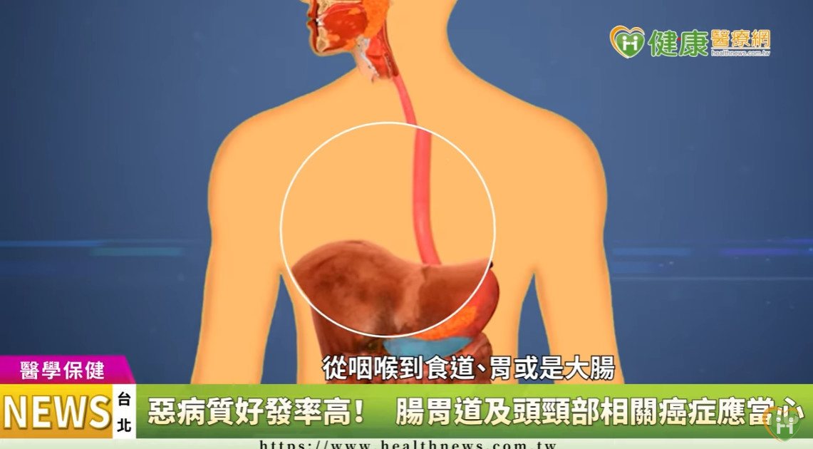 據國際資料統計，20-30%的癌症患者死因並非癌症本身，而是由癌症所導致的「惡病質」。台灣癌症基金會12月盛大舉辦「抗癌防惡 營養制勝」癌症系列講座，邀請多位專家破解抗癌營養補充迷思，傳授戰勝腫瘤關鍵