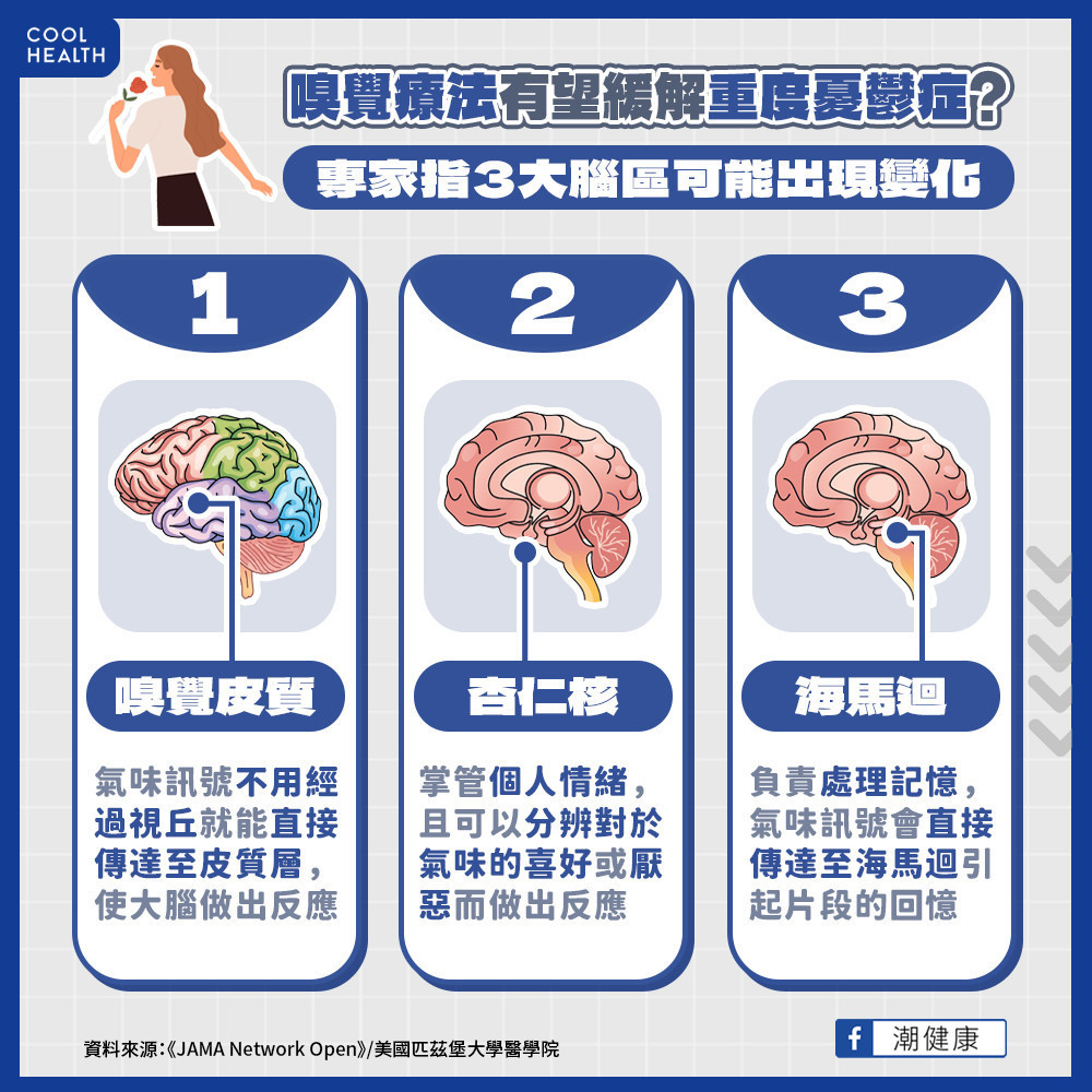 嗅覺療法有望緩解重度憂鬱症？  3大腦區改變可能是關鍵因子