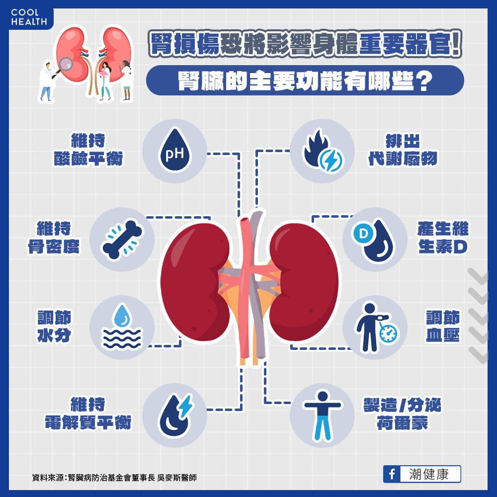 功能不只代謝廢物、水分！  為何腎臟容易「工作量超載」？