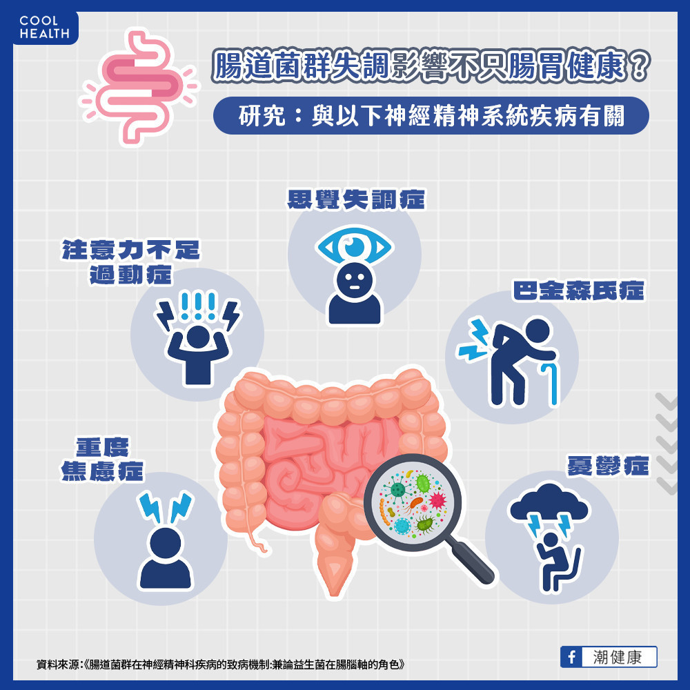 腸道菌與失智症有關？  研究稱與丁酸菌、瘤胃球菌有關