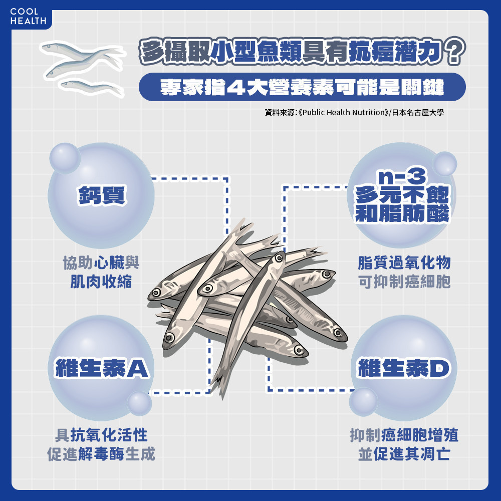 攝取小型魚類的具體好處？ 「4大營養成分」或為抗癌關鍵