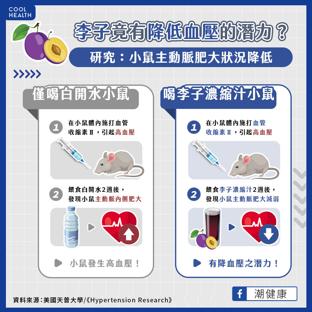 食用李子可以幫助血壓控制？  動物實驗證實：有預防高血壓潛力