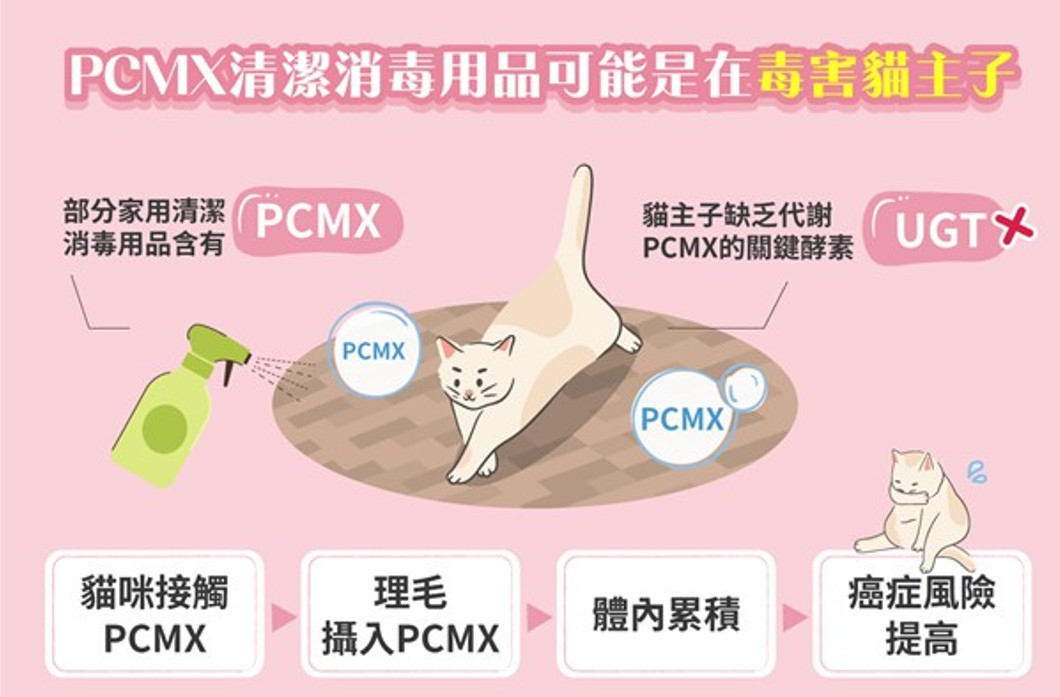 PCMX（Chloroxylenol）對於人來說，雖然可能會造成過敏等的副作用，但對貓主子，卻是一種「毒藥」，這是因為貓主子體內缺乏代謝PCMX（Chloroxylenol）的關鍵酵素—UGT！