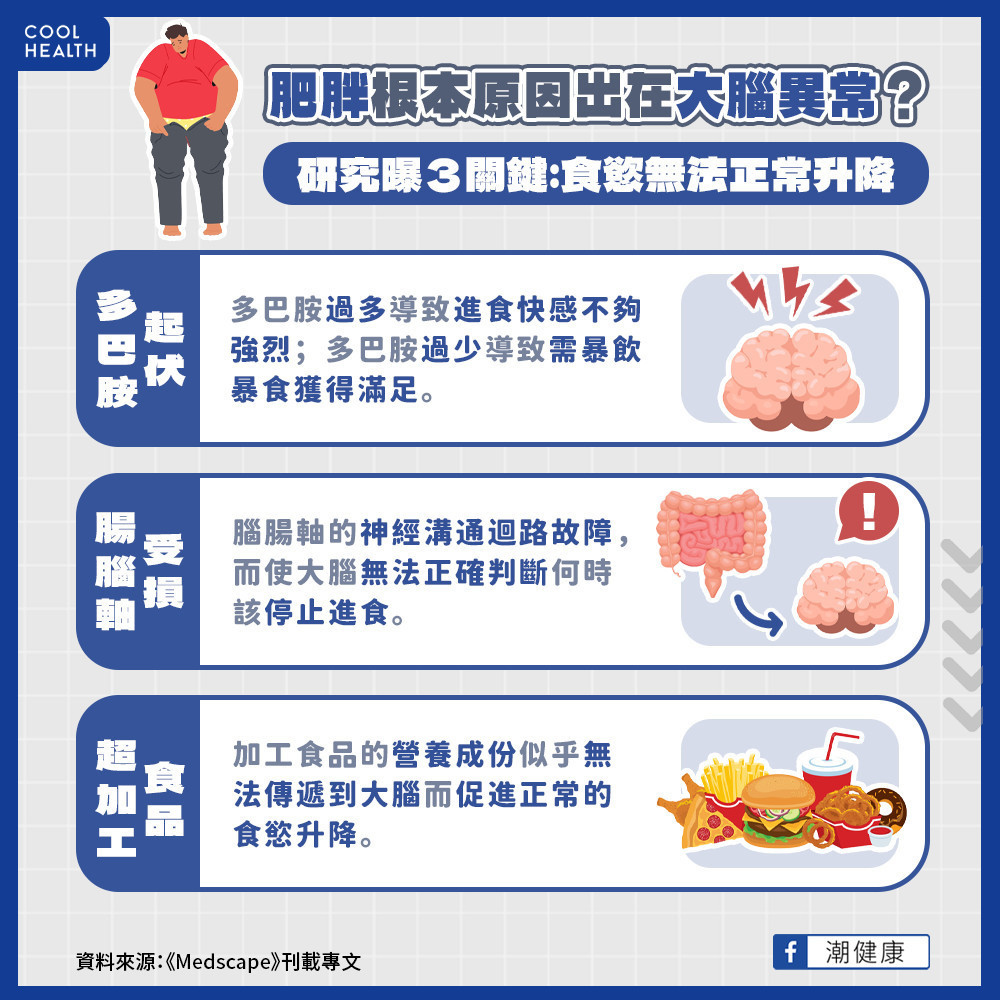 食慾與快感分泌不正常！  肥胖進食後腦區紋風不動？