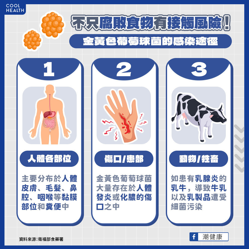 不只腐敗食物有接觸風險！ 金黃色葡萄球菌的感染途徑