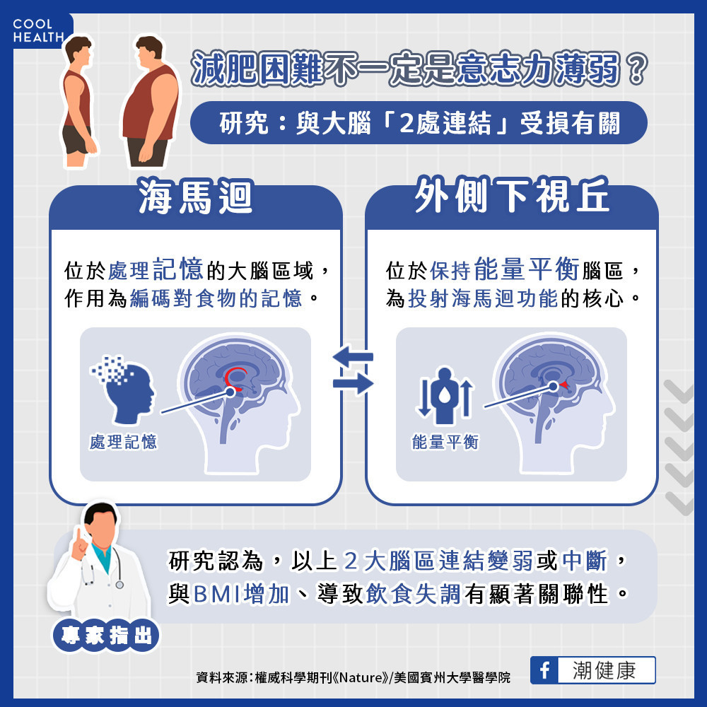 減肥頻失敗不一定是意志不堅？  研究：肥胖與大腦「這2處」連結受損有關