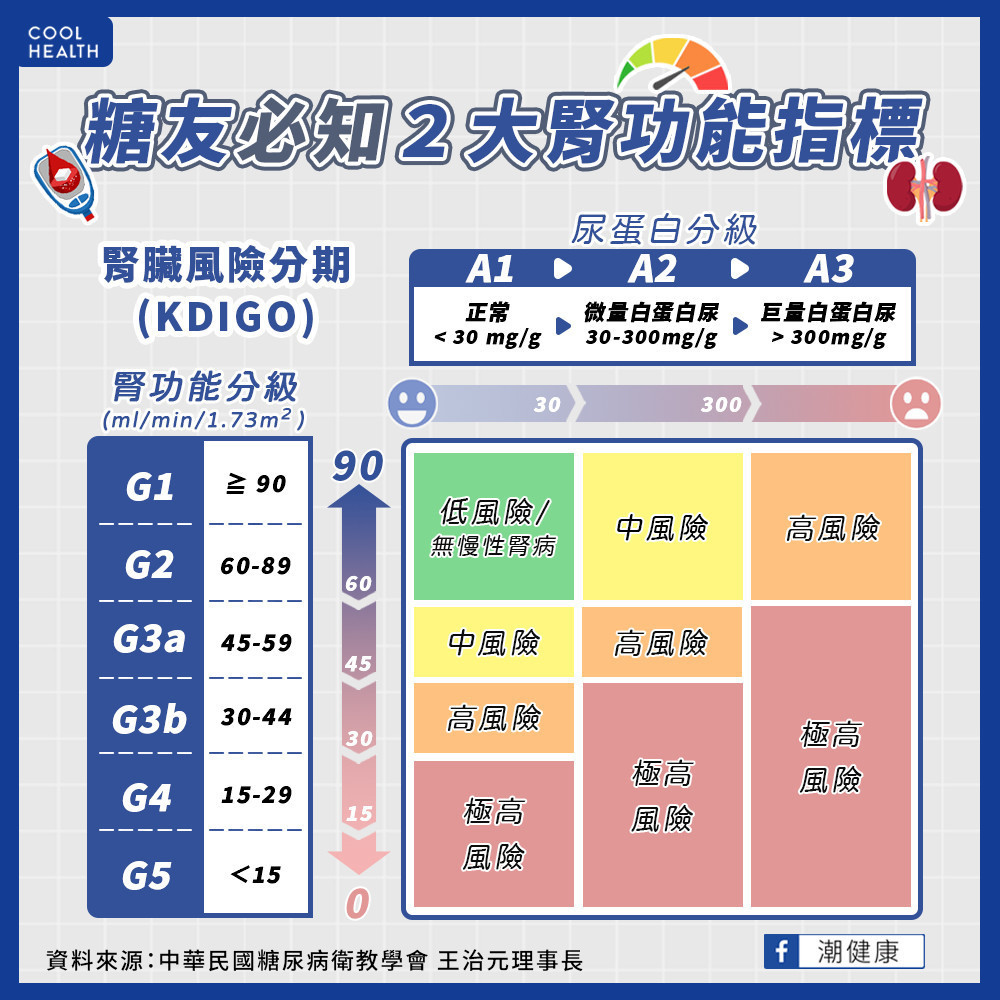 糖尿病應注意腎功能燈號！  瞭解腎絲球過濾率與蛋白尿