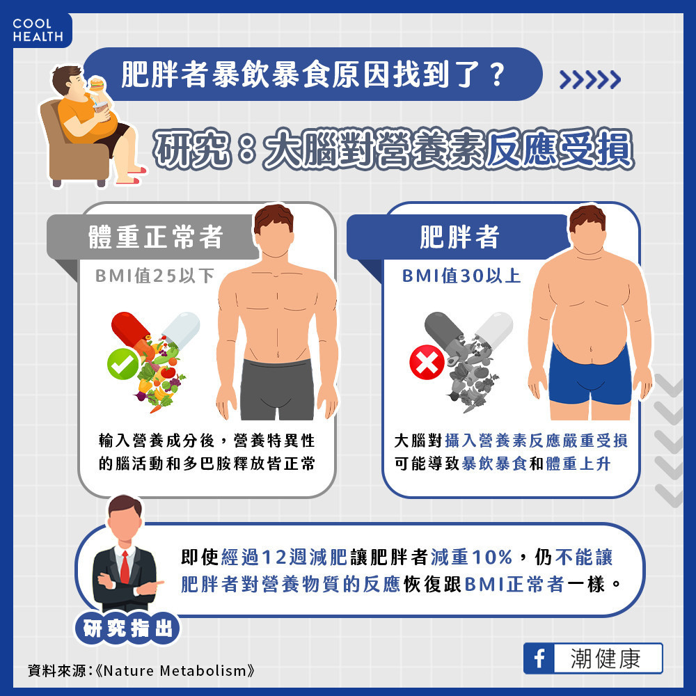 肥胖者暴飲暴食原因找到了？ 研究：大腦對營養素反應「嚴重受損」