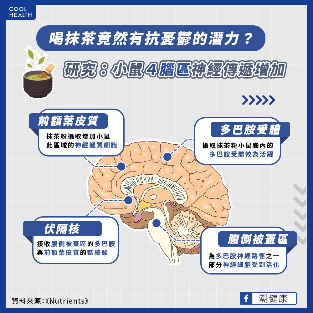 抹茶具有抗憂鬱潛力？  日研究曝：4大腦區神經傳遞增加